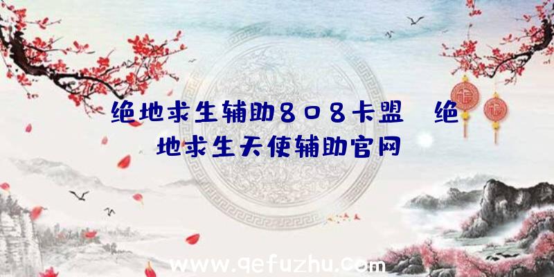 「绝地求生辅助808卡盟」|绝地求生天使辅助官网